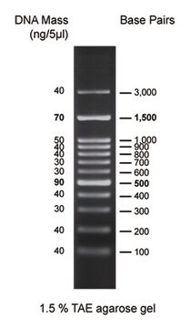 Ladder di DNA DirectLoad&#8482; Plus 100 bp High