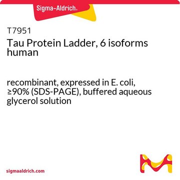 Tau Protein Ladder, 6 isoforms ヒト recombinant, expressed in E. coli, &#8805;90% (SDS-PAGE), buffered aqueous glycerol solution