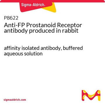 Anti-FP Prostanoid Receptor antibody produced in rabbit affinity isolated antibody, buffered aqueous solution