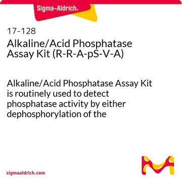 Zestaw do oznaczania fosfatazy alkalicznej/kwaśnej (R-R-A-pS-V-A) Alkaline/Acid Phosphatase Assay Kit is routinely used to detect phosphatase activity by either dephosphorylation of the phosphopeptide (RRApSVA) or hydrolysis of pNPP.