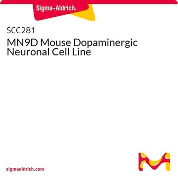 Linea di cellule neuronali dopaminergiche di topo MN9D