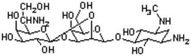 Hygromycin&nbsp;B, Streptomyces sp., zellkulturgetestet Unique aminoglycoside antibiotic that inhibits the growth of prokaryotic (bacteria) and eukaryotic microorganisms (yeasts) and mammalian cells.