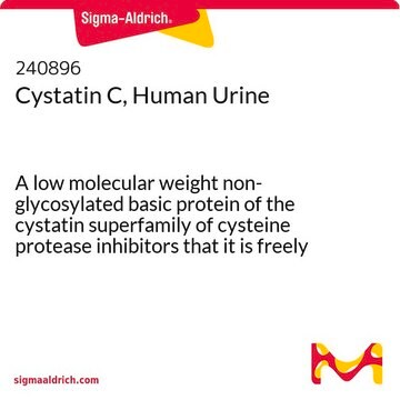 Cystatin C, Human Urine A low molecular weight non-glycosylated basic protein of the cystatin superfamily of cysteine protease inhibitors that it is freely filtered by the glomerular membrane.