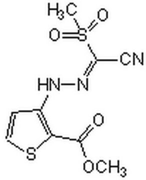 HIF-2&#945;-Translations-Inhibitor The HIF-2&#945; Translation Inhibitor, also referenced under CAS 882268-69-1, controls the biological activity of HIF-2&#945;. This small molecule/inhibitor is primarily used for Cell Structure applications.