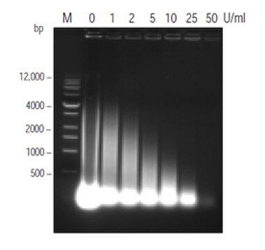 BugBuster&#174; plus Benzonase Nuclease