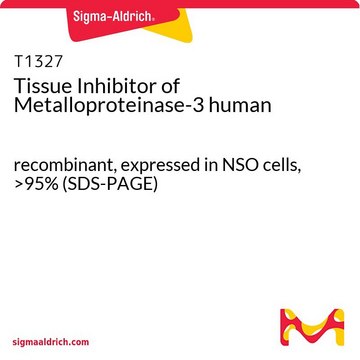 Tissue Inhibitor of Metalloproteinase-3 ヒト recombinant, expressed in NSO cells, &gt;95% (SDS-PAGE)