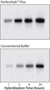 PerfectHyb&#8482; Plus Hybridisierungspuffer for Northern and Southern blotting, solution