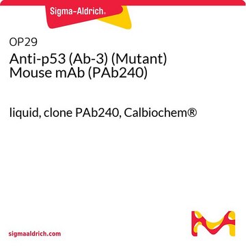 p53（Ab-3）（突变型）小鼠单克隆抗体（PAb240） liquid, clone PAb240, Calbiochem&#174;