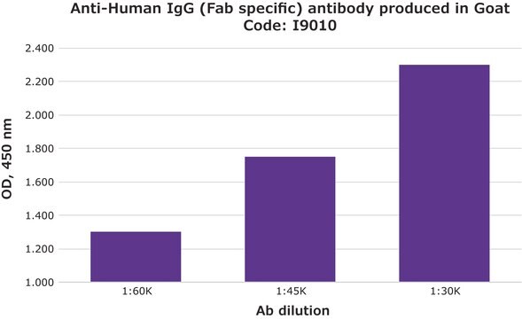 Anti-Human IgG-Antikörper (Fab-spezifisch) in Ziege hergestellte Antikörper whole antiserum