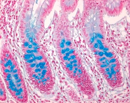 核固红-硫酸铝溶液 0.1% for microscopy