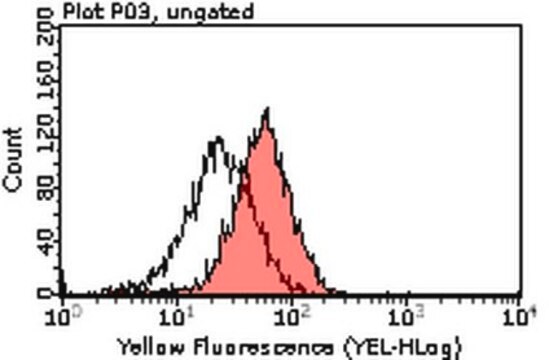 Anti-Tim3 Antibody, clone 5D12 clone 5D12, from mouse