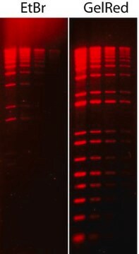 Corante de ácidos nucleicos GelRed&#174; 10000X Água GelRed is a fluorescent nucleic acid stain designed to replace the highly toxic ethidium bromide (EtBr) for staining dsDNA, ssDNA or RNA in agarose gels or polyacrylamide gels.