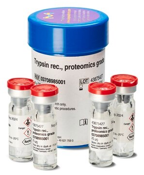 トリプシン組み換え、プロテオミクスグレード recombinant enzyme expressed in Pichia pastoris