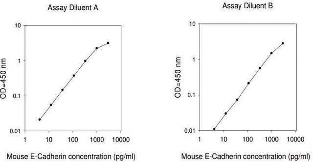 小鼠上皮钙粘附素 ELISA 试剂盒 for serum, plasma and cell culture supernatant