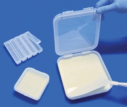 Scienceware&#174; gel incubating tray W × L 9.0&#160;cm (3.5&#160;in.) × 9.0&#160;cm (3.5&#160;in.)