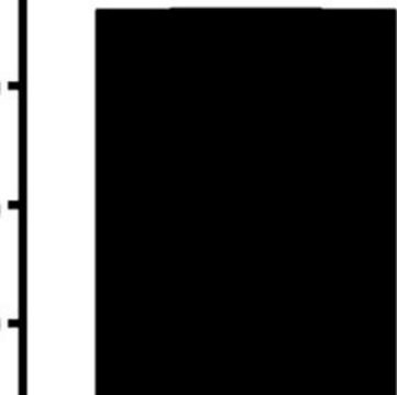 抗ODF2 ウサギ宿主抗体 Prestige Antibodies&#174; Powered by Atlas Antibodies, affinity isolated antibody, buffered aqueous glycerol solution