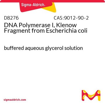 DNA Polymerase I, Klenow Fragment from Escherichia coli buffered aqueous glycerol solution