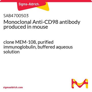 Monoclonal Anti-CD98 antibody produced in mouse clone MEM-108, purified immunoglobulin, buffered aqueous solution