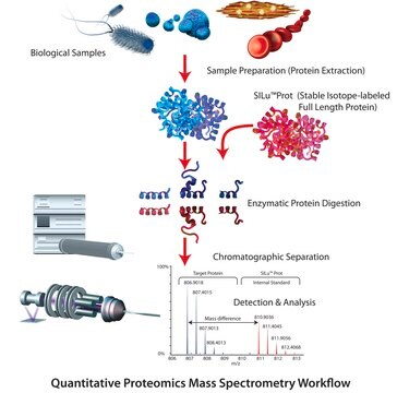 SILu&#8482;Lite MAPK1 Mitogen Activated Protein Kinase 1 human recombinant, expressed in HEK 293 cells, MS Protein Standard