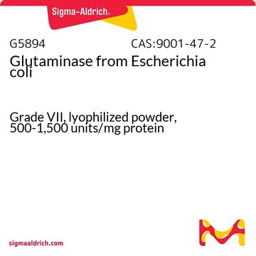 Glutaminase from Escherichia coli Grade VII, lyophilized powder, 500-1,500&#160;units/mg protein