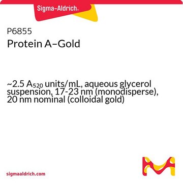 Protein A–Gold ~2.5&#160;A520 units/mL, aqueous glycerol suspension, 17-23&#160;nm (monodisperse), 20&#160;nm nominal (colloidal gold)