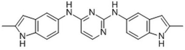 Podwójny inhibitor Cdc42/Rac1, AZA1