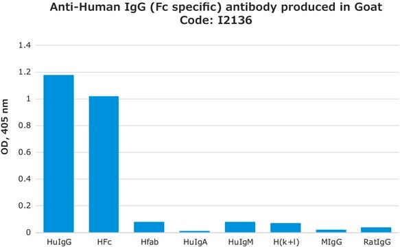 抗ヒトIgG (Fc特異的) ヤギ宿主抗体 affinity isolated antibody, buffered aqueous solution