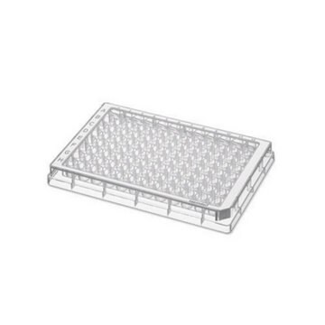 Eppendorf&#174; Microplate 96/F-PP clear wells, white border, sterile