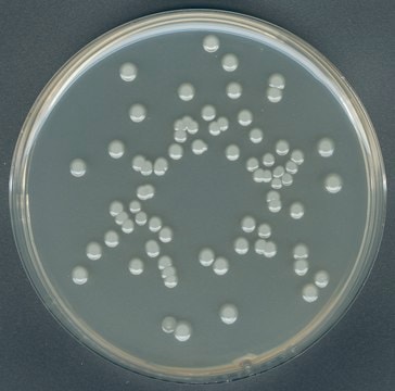 Agar per conte totali in piastra GranuCult&#174; prime, ISO 4833, IFU, ISO 17410, FDA-BAM, granular, suitable for food and beverages