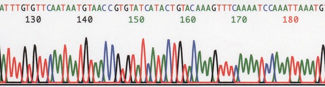 REDExtract-N-Amp&#8482; 种子 PCR 试剂盒 sufficient for 100&#160;extractions, sufficient for 100&#160;amplifications