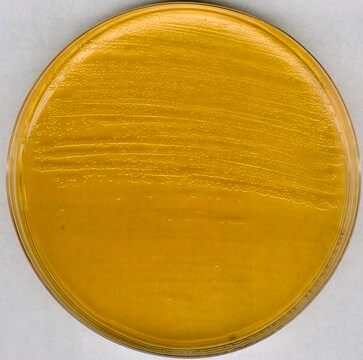 &#174; prime Brain Heart Infusion Agar acc. FDA-BAM