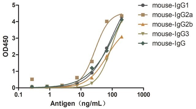 Przeciwciało Alpaca przeciw mysiej IgG (Fcγ) z pojedynczą domeną recombinant Alpaca(VHH) Nano antibody