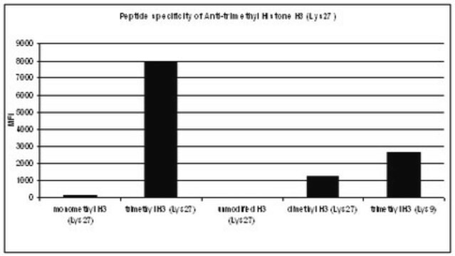 Anti-trimethyl Histone H3 (Lys27) Antibody, Trial Size from rabbit, purified by affinity chromatography