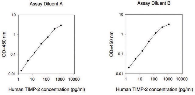 Human TIMP-2 ELISA Kit for serum, plasma, cell culture supernatant and urine