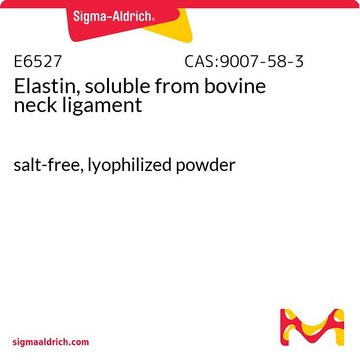 Elastin, soluble from bovine neck ligament salt-free, lyophilized powder