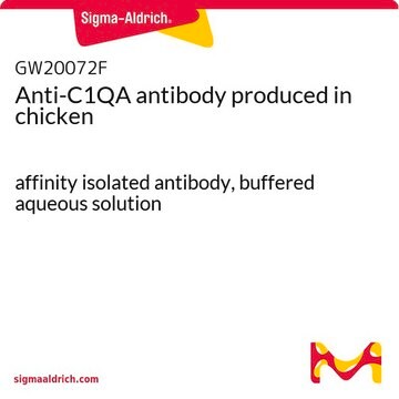 Anti-C1QA antibody produced in chicken affinity isolated antibody, buffered aqueous solution