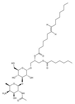 Lipoteichoesäure aus Staphylococcus aureus bacterial cell wall polymer