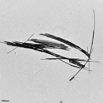 Gold-Nanodrähte diam. × L 30&#160;nm × 6,000&#160;nm, dispersion (H2O)