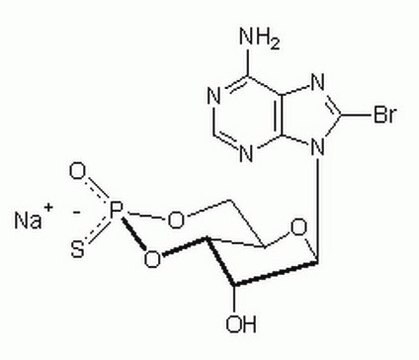 3′,5′-cykliczny monofosforotioinian adenozyny, 8-bromo-, izomer Rp, sól sodowa A potent, cell-permeable, and reversible metabolically-stable cAMP antagonist that inhibits cAMP-dependent protein kinase and shows preference for PKA type I.