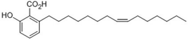 Kwas miłorzębowy (15:1) InSolution, &#8805;98%, 25 mM in DMSO