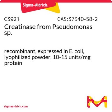 Creatinase from Pseudomonas sp. recombinant, expressed in E. coli, lyophilized powder, 10-15&#160;units/mg protein