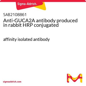 Anti-GUCA2A antibody produced in rabbit HRP conjugated affinity isolated antibody