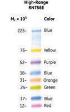 Amersham&#8482; ECL&#8482; Rainbow&#8482; Marker - Full range High Range, Cytiva RPN756E