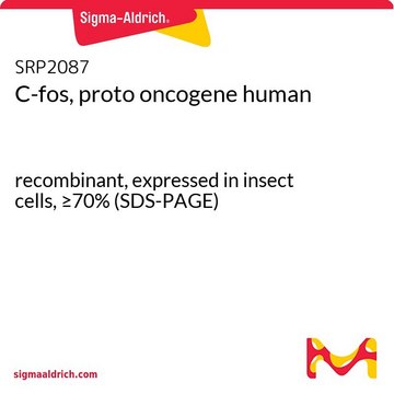 C-fos、プロトオンコジーン ヒト recombinant, expressed in insect cells, &#8805;70% (SDS-PAGE)