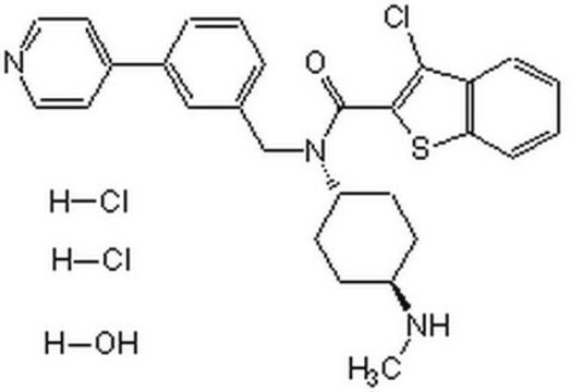 InSolution Smoothened Agonist, SAG, Calbiochem InSolution, &#8805;95%, 10 mM aqueous solution