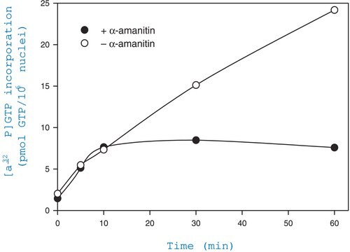 细胞核分离试剂盒：Nuclei EZ Prep sufficient for 25&#160;nuclei preparations (~1-10×107 cells/preparation)