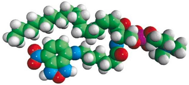 C6-NBD鞘磷脂 Avanti Research&#8482; - A Croda Brand 810218P, powder