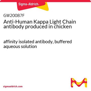 Anti-Human Kappa Light Chain antibody produced in chicken affinity isolated antibody, buffered aqueous solution