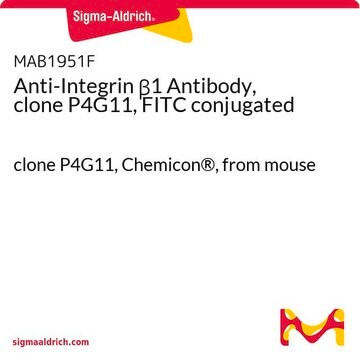 Anticorpo anti-integrina &#946;1, clone P4G11, coniugato con FITC clone P4G11, Chemicon&#174;, from mouse