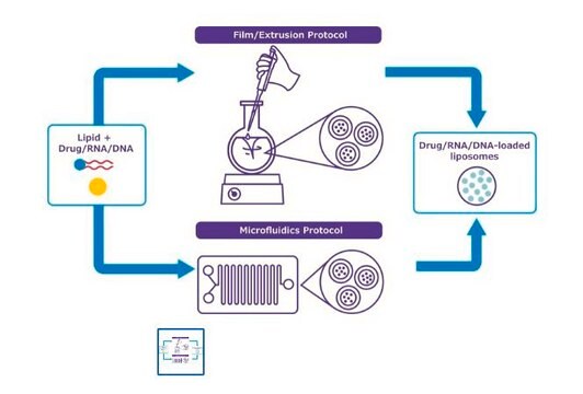 NanoFabTx&#8482; - Mannose Lipid Mix for synthesis of mannose-targeted liposomes